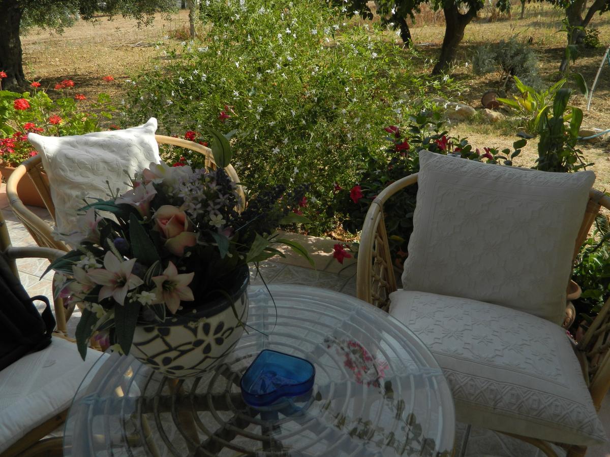 Bed and Breakfast Uliveto House à Castellammare del Golfo Extérieur photo