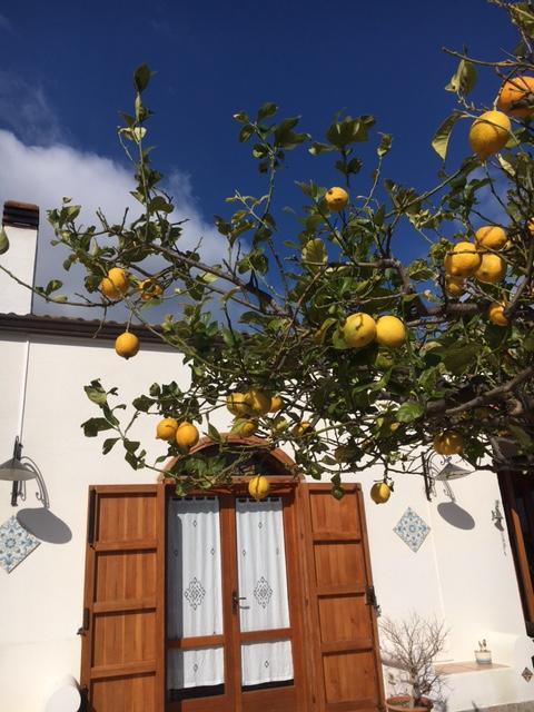 Bed and Breakfast Uliveto House à Castellammare del Golfo Extérieur photo